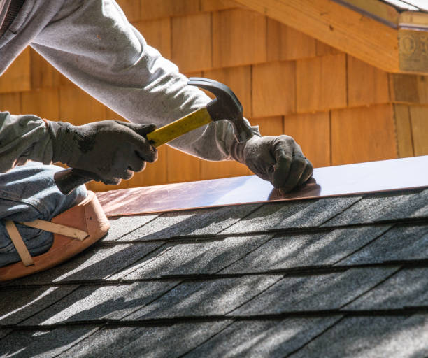 Best Roof Gutter Cleaning  in Garfield, TX